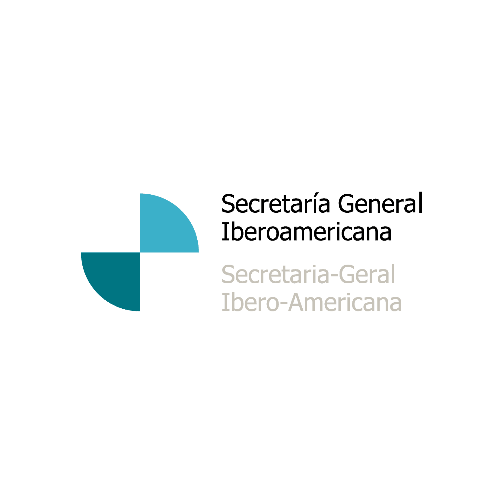 logo-secrétariat-général-ibéro-américainan_TECHO